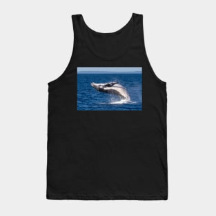 Humpback Whale, Hervey Bay, Queensland Tank Top